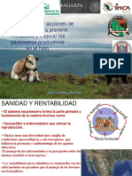 1_Acciones_salud_animal.pdf