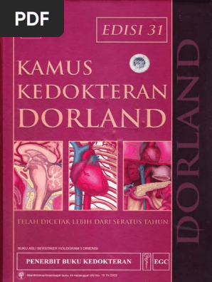 Kamus