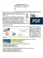 Guía Nº 8 Reproducción y Herencia Resuelta
