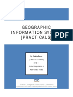 GIS Practical Journal