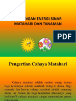 Hubungan Energi Sinar Matahari Dan Tanaman