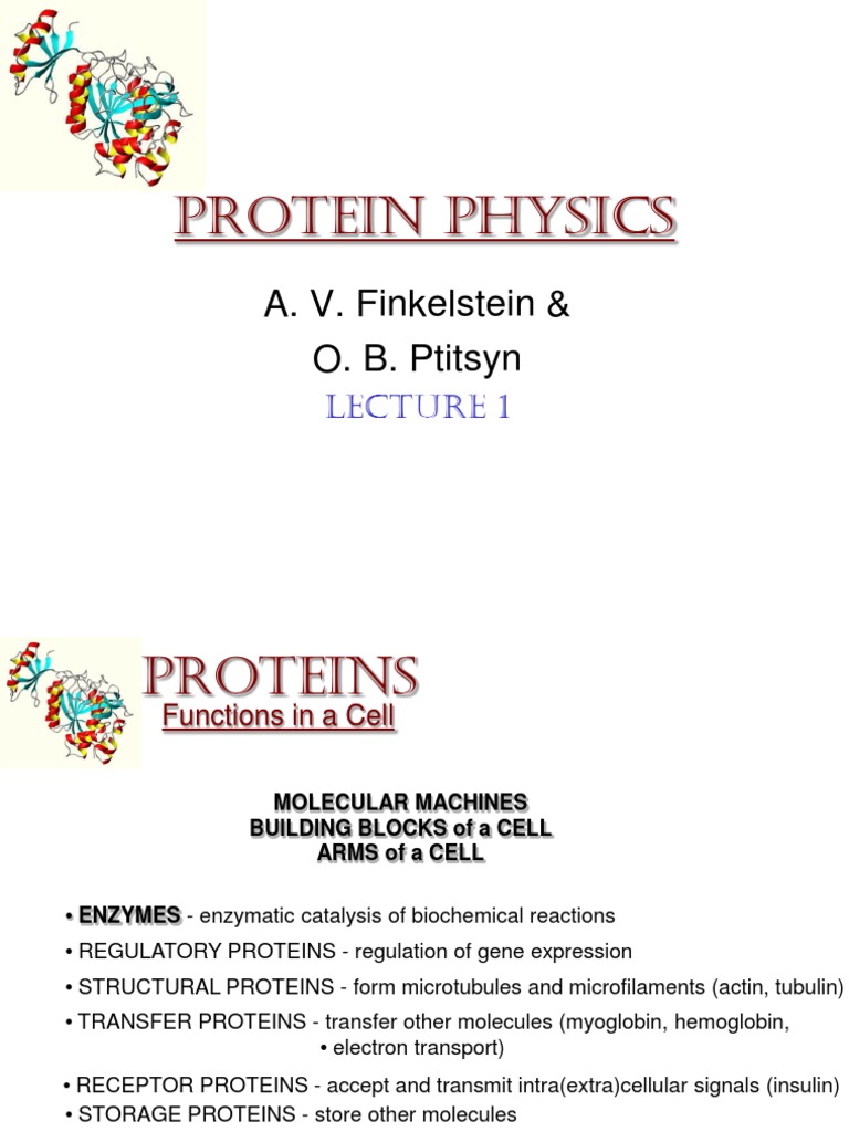 An Introduction to Protein Structure, Function, and the Relationship