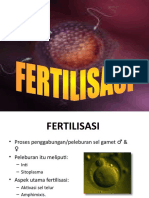fertilisasi