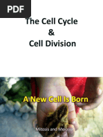 The Cell Cycle & Cell Division