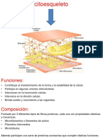 biologia 6