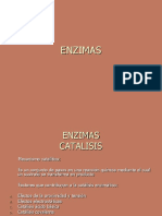 Enzimas 2