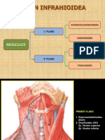 Cuello Visceral 1