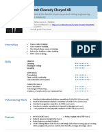 Samir Elawady Elsayed Ali: Internships