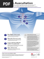 Anterior and Posterior Chest Assessment | PDF | Thorax | Clinical Medicine