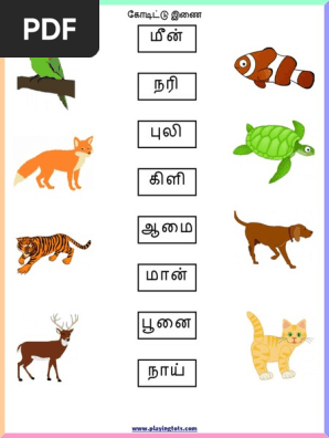 worksheet animals pdf