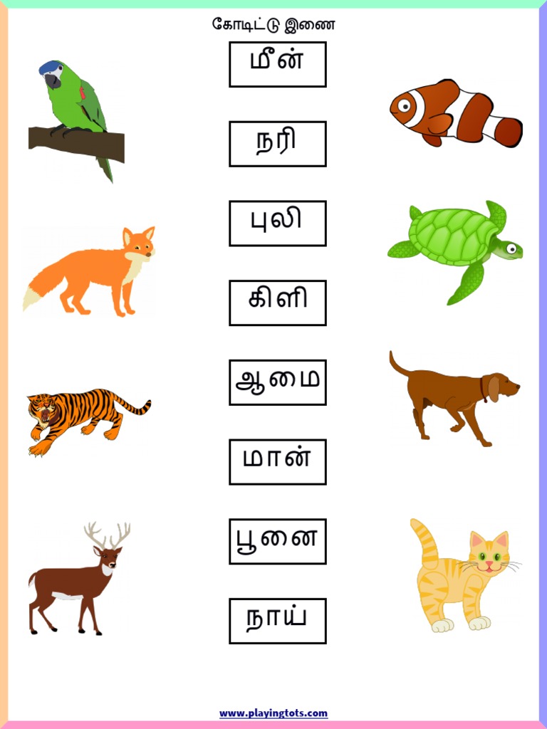 Worksheet - Animals PDF | PDF