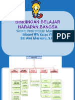 Sistem Pencernaan Pada Manusia