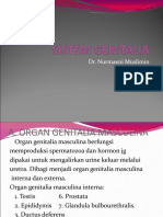 Sistem Genitalia