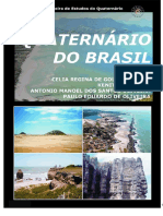 Capitulo8 LivroABEQUA-Quaternario Do Brasil2005