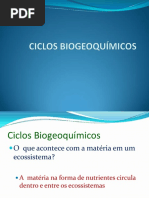 CICLOS BIOGEOQUÍMICOS