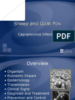 Sheep Goat Pox