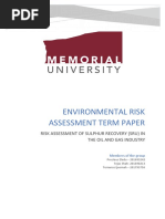 Risk Assessment of Sulphur Recovery