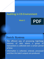 Audit in CIS Environment