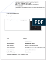 Formdiskripsi Mikropal B4 (Nodosaria)