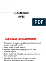 Kelas Aves