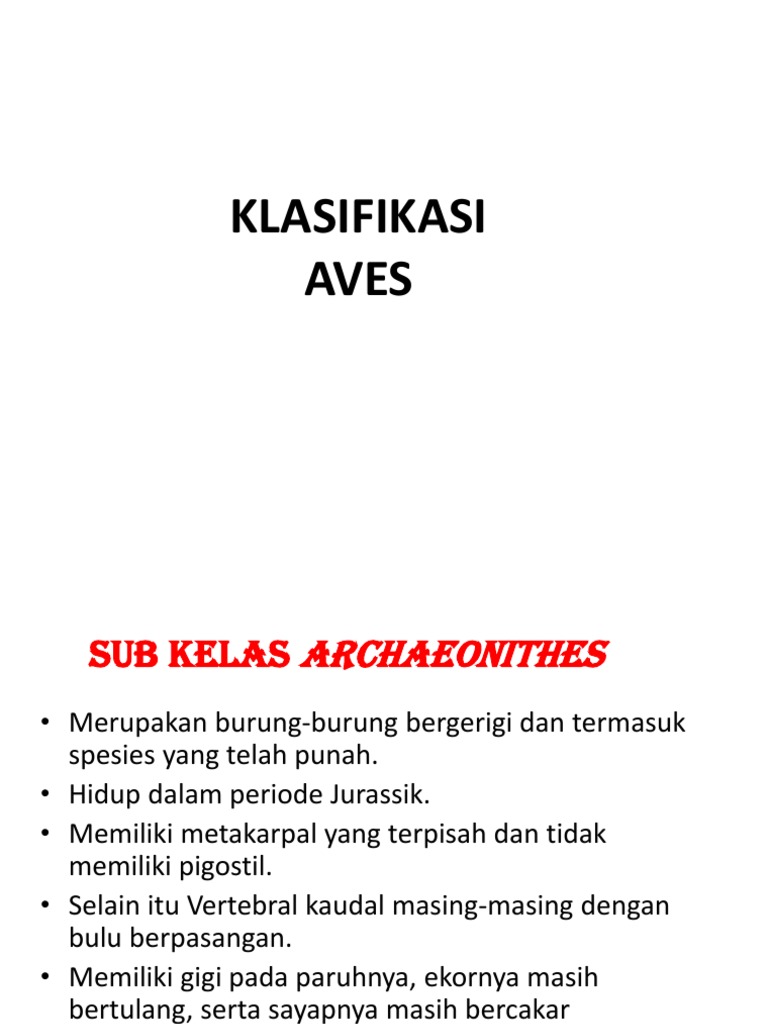 Kelas Aves Pdf
