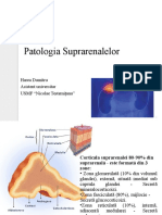 Suprarenalele ST 10 2017