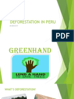 Deforestation in Peru