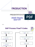 Sap Introduction: Presentation by