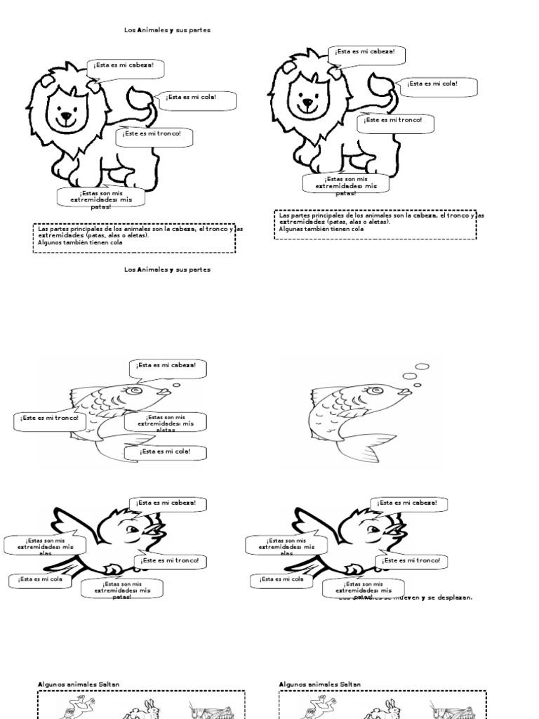 Cuaderno Los Animales Y SUS PARTES | Descargar gratis PDF | Aves ...