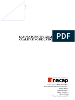 Informe PDF