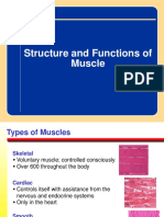 Structure and Functions of Muscle