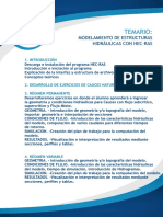 TEMARIO HEC RAS.pdf