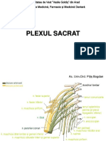 Plexul Sacrat