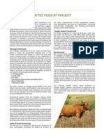 cattle-feedlot-project.pdf