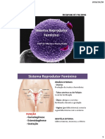 Aula Sistema Reprodutor Feminino - Versao Roteiro de Estudo