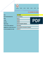 Formato de Horas Efectivas Mensuales Inicial