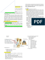 Sasbel PBL 1 Respi