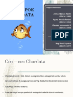 Chordata Ikan Buntal