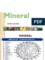Mineral - Copy