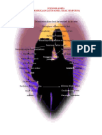 Stenosis Aorta