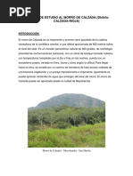 Definición y características de la marga | PDF | Petrología | Caliza