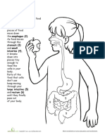 anatomy-eating.pdf