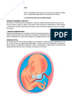 Etapas Del Desarrollo Humano