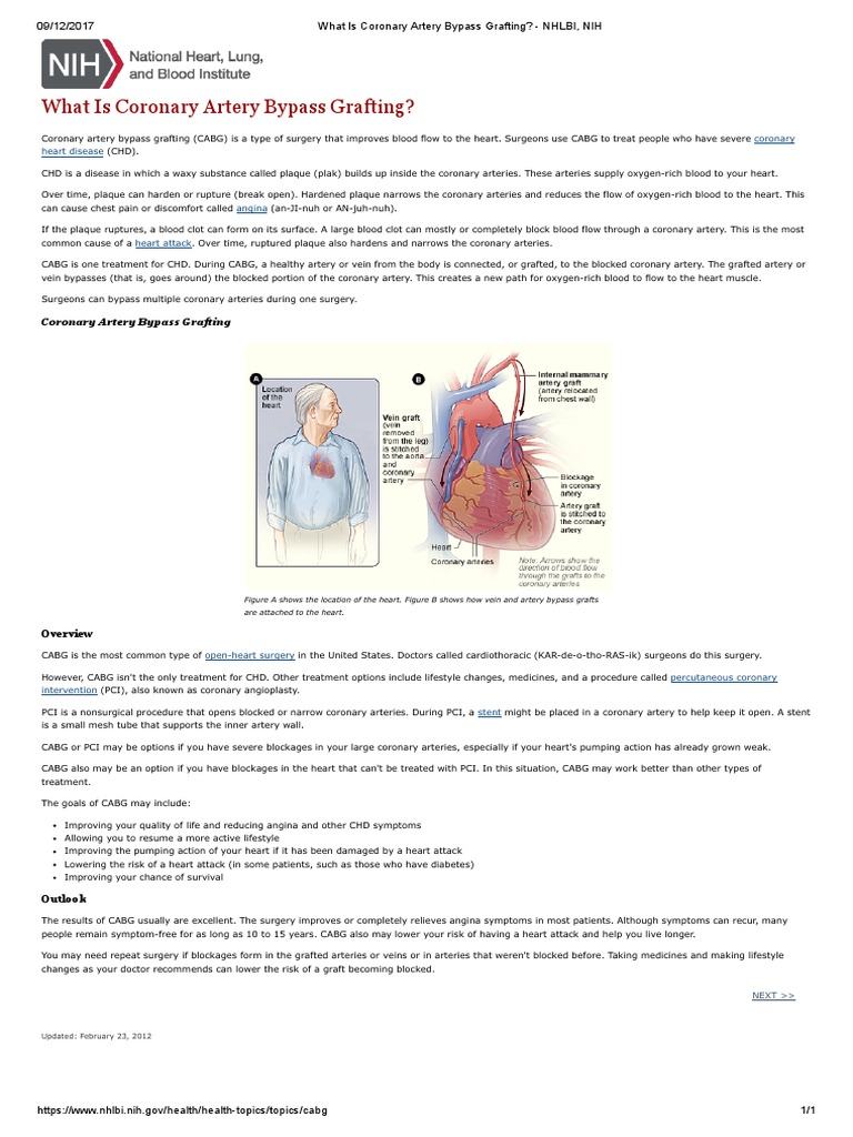 Understanding Coronary Artery Bypass Grafting | PDF | Percutaneous ...