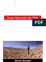 Zonas Naturales de Chile 6º AB 2014