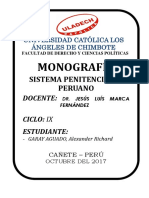 Sistema Penitenciaria Peruano - Monografía