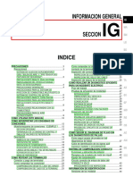 Ig PDF
