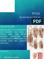 PPOK