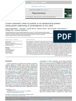 A Novel Carotenoid, 4-Keto-A-carotene, As An Unexpected By-Product