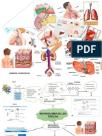 MAPA MENTAL 1.docx